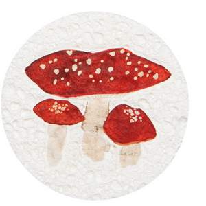 Now Designs Compostable Dish Sponge Mushroom Now Designs Compostable Dish Sponge Mushroom