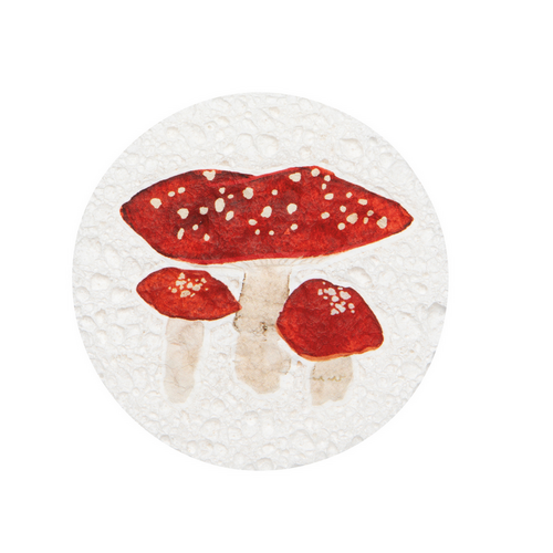 Now Designs Compostable Dish Sponge Mushroom Now Designs Compostable Dish Sponge Mushroom