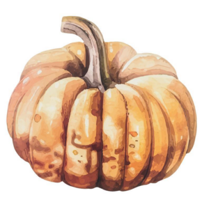 Abbott Pumpkin Placemat Orange