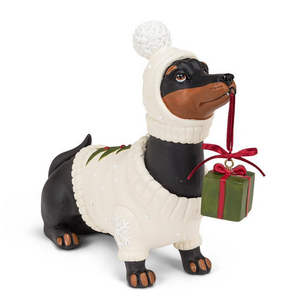 Abbott Dachshund in a Sweater with a Present