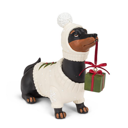 Abbott Dachshund in a Sweater with a Present Abbott Dachshund in a Sweater with a Present