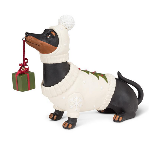 Abbott Dachshund in a Sweater with a Present Abbott Dachshund in a Sweater with a Present