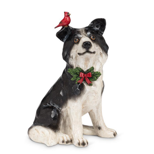 Abbott Border Collie Sitting with Cardinal Abbott Border Collie Sitting with Cardinal