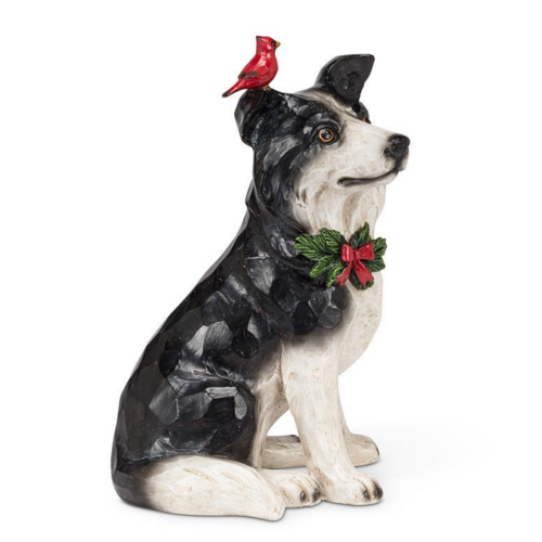Abbott Border Collie Sitting with Cardinal Abbott Border Collie Sitting with Cardinal