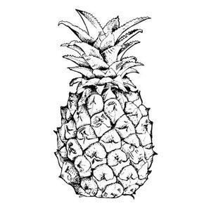 Euroscrubby Swedish Cloth Pineapple Outline Euroscrubby Swedish Cloth Pineapple Outline