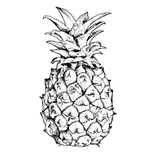 Euroscrubby Swedish Cloth Pineapple Outline Euroscrubby Swedish Cloth Pineapple Outline