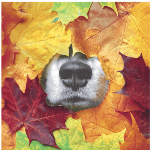 Paper+Design Napkin Lunch Paper Furry Leaf