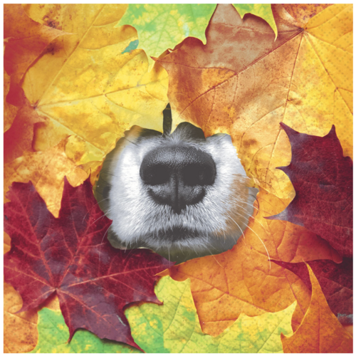 Paper+Design Napkin Lunch Paper Furry Leaf