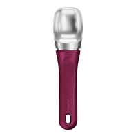 Cleverly Ice Cream Scoop Berry