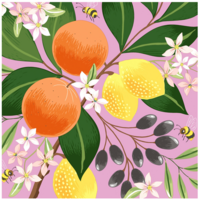 Napkin Lunch Paper Exotic Fruits
