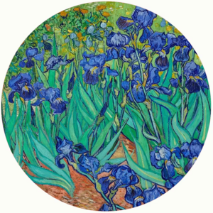 Jar Opener Irises Jar Opener Irises