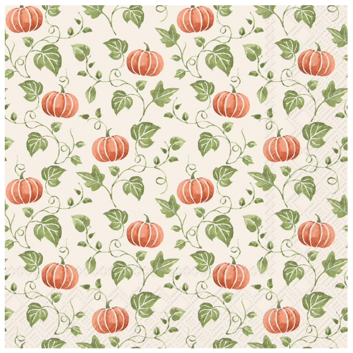 IHR Napkin Lunch Paper Simple Pumpkin Orange IHR Napkin Lunch Paper Simple Pumpkin Orange