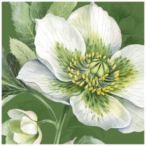 IHR Napkin Cocktail Paper Elegant Christmas Rose Green IHR Napkin Cocktail Paper Elegant Christmas Rose Green