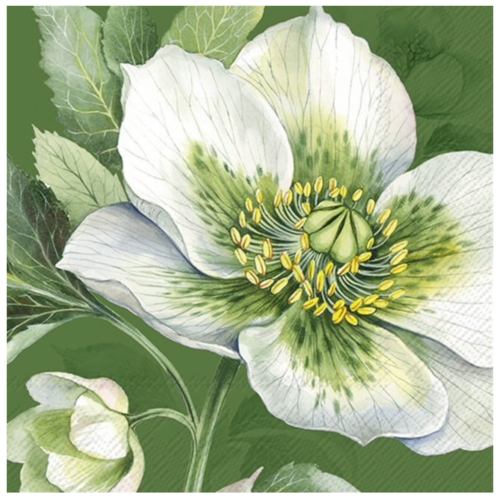 IHR Napkin Cocktail Paper Elegant Christmas Rose Green