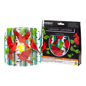MODGY Luminary Lantern Cardy Party & Water Activated LED Candles 4 Each
