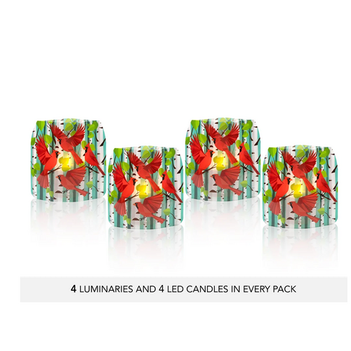 MODGY Luminary Lantern Cardy Party & Water Activated LED Candles 4 Each MODGY Luminary Lantern Cardy Party & Water Activated LED Candles 4 Each