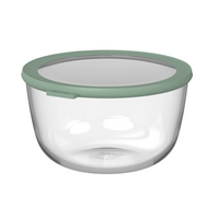 Cirqula Glass Bowl 3 L Nordic Sage