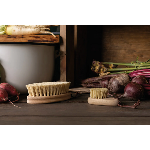 Now Designs Veggie Brush Large