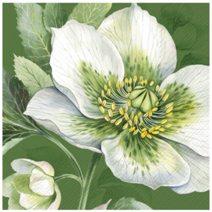 IHR Napkin Lunch Paper Elegant Christmas Rose Green IHR Napkin Lunch Paper Elegant Christmas Rose Green