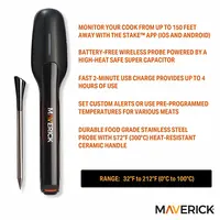 Stake Wireless Thermometer Bluetooth BT-150