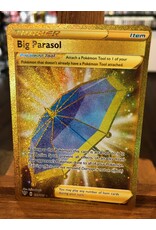 Pokemon Big Parasol  199/189