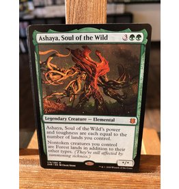 Magic Ashaya, Soul of the Wild  (ZNR)