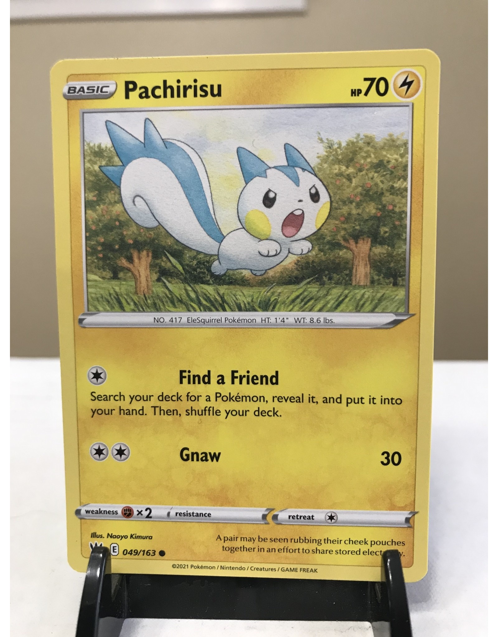 Pokemon Pachirisu 049/163