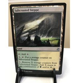Magic Saltcrusted Steppe  (TSR)