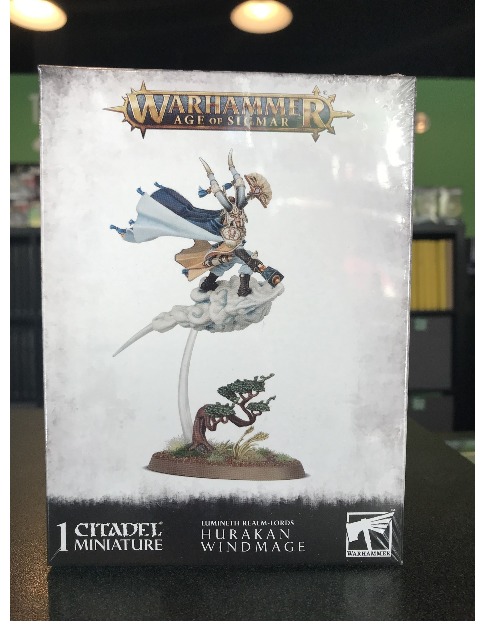 Age of Sigmar HURAKAN WINDMAGE