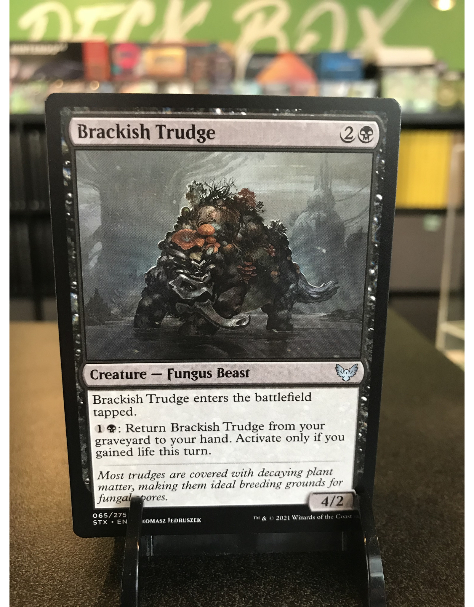 Magic Brackish Trudge  (STX)