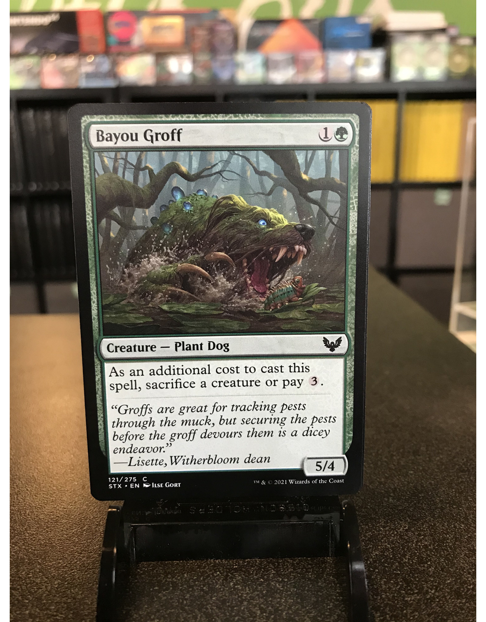 Magic Bayou Groff  (STX)