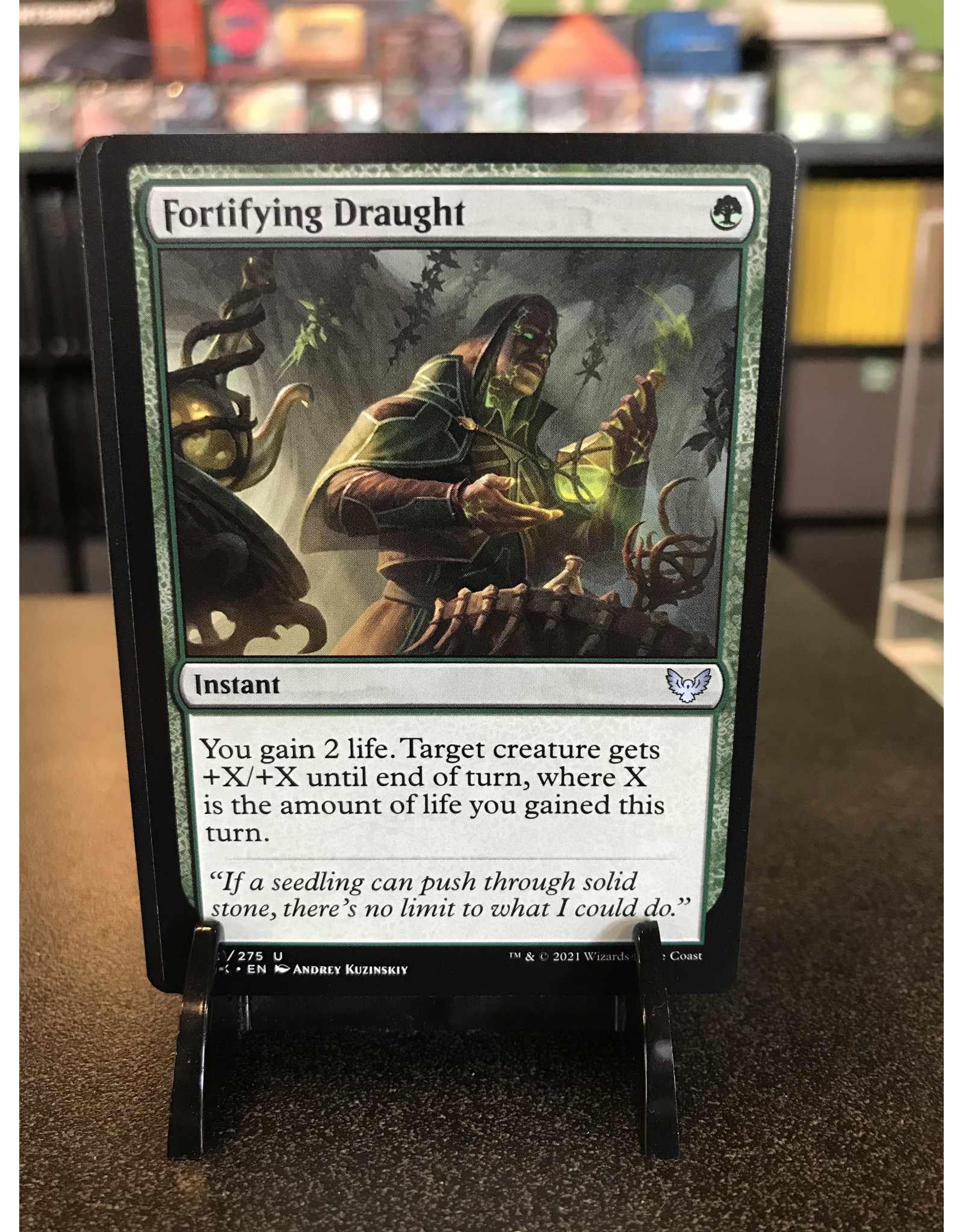Magic Fortifying Draught  (STX)