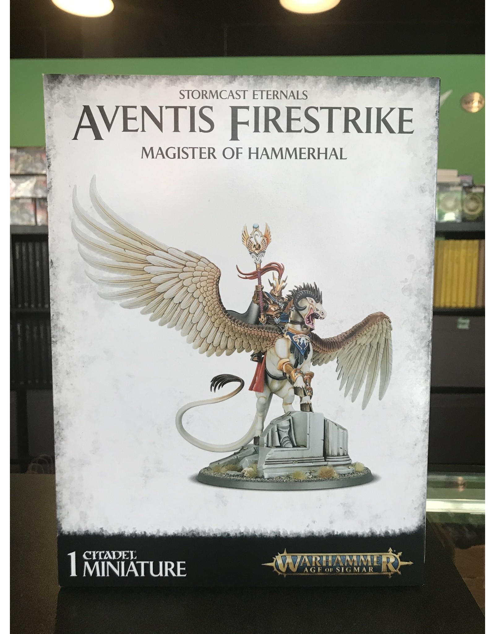 Age of Sigmar Aventis Firestrike: Magister of Hammerhal / Lord-Arcanum on Tauralon