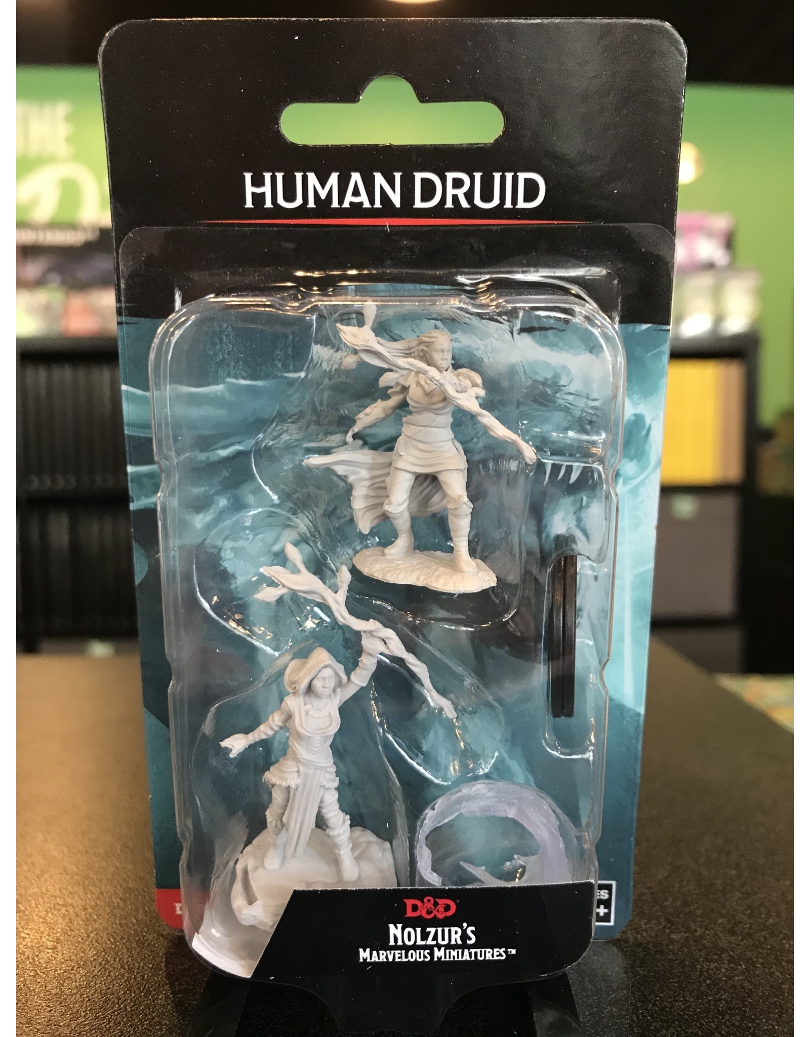 Dungeons and Dragons DND UNPAINTED MINIS WV14 HUMAN DRUID FEMALE  (144)