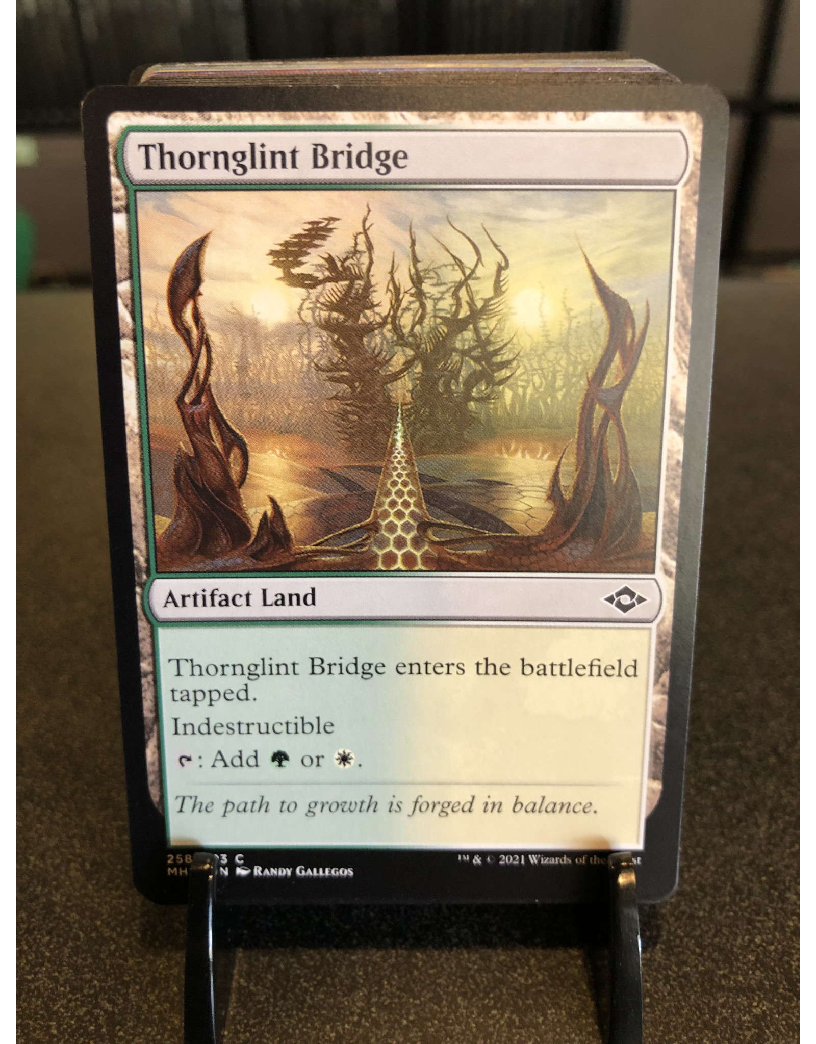 Magic Thornglint Bridge  (MH2)