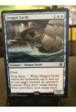 Magic Dragon Turtle  (AFR)