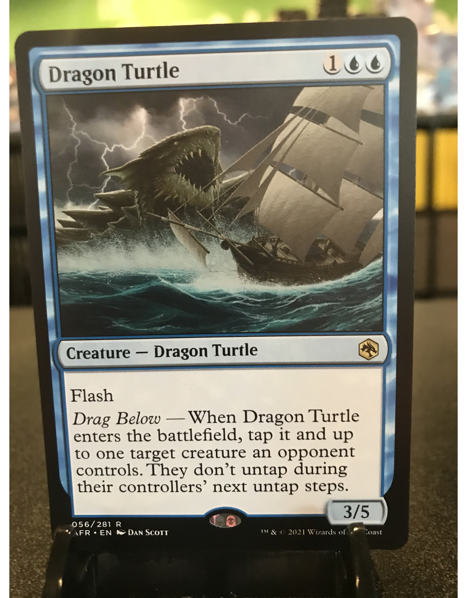 Magic Dragon Turtle  (AFR)