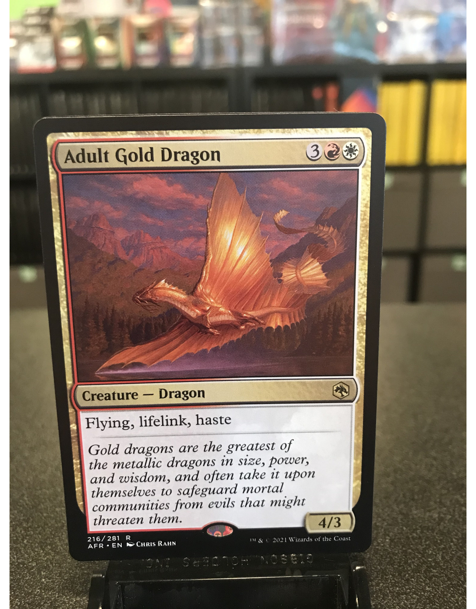 Magic Adult Gold Dragon  (AFR)
