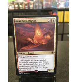 Magic Adult Gold Dragon  (AFR)