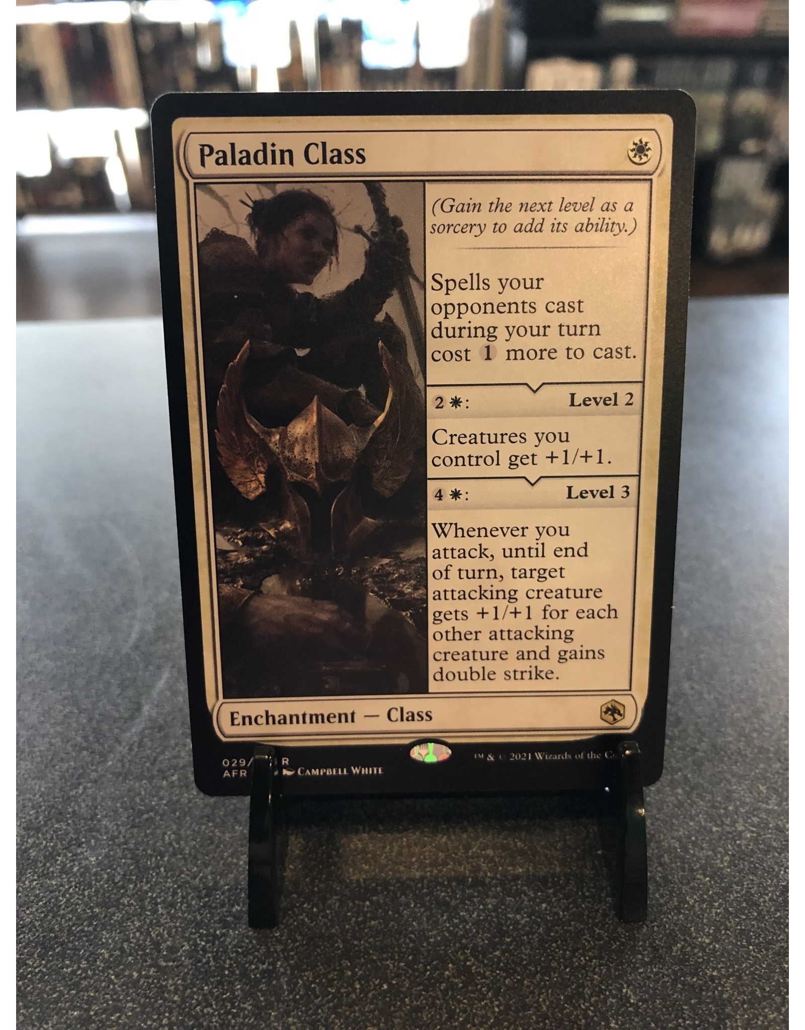 Magic Paladin Class  (AFR)