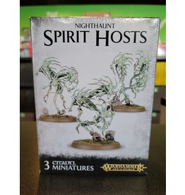 Age of Sigmar NIGHTHAUNT SPIRIT HOSTS