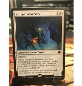 Magic Intrepid Adversary  (MID)