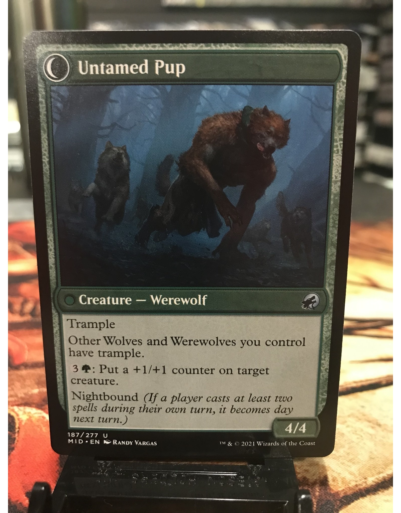 Magic Hound Tamer // Untamed Pup  (MID)
