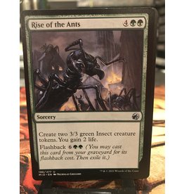 Magic Rise of the Ants  (MID)