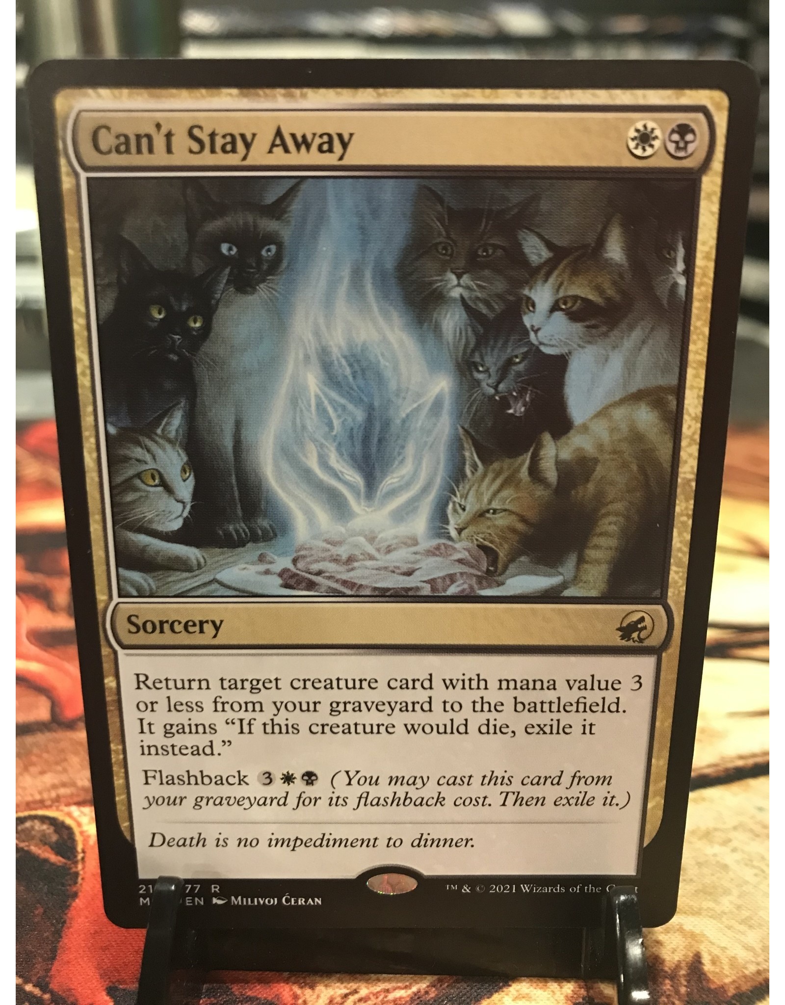 Magic Can't Stay Away  (MID)