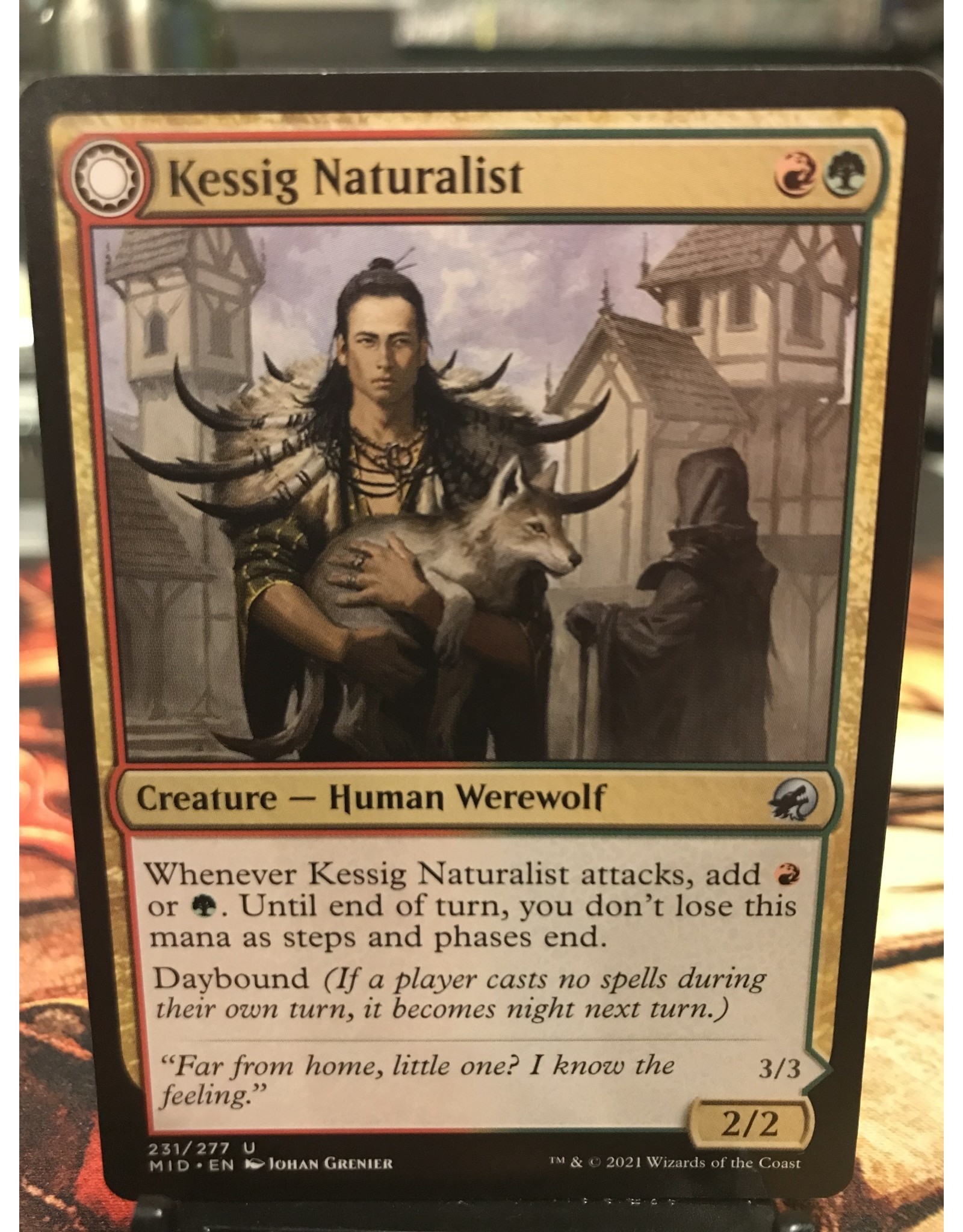 Magic Kessig Naturalist // Lord of the Ulvenwald  (MID)