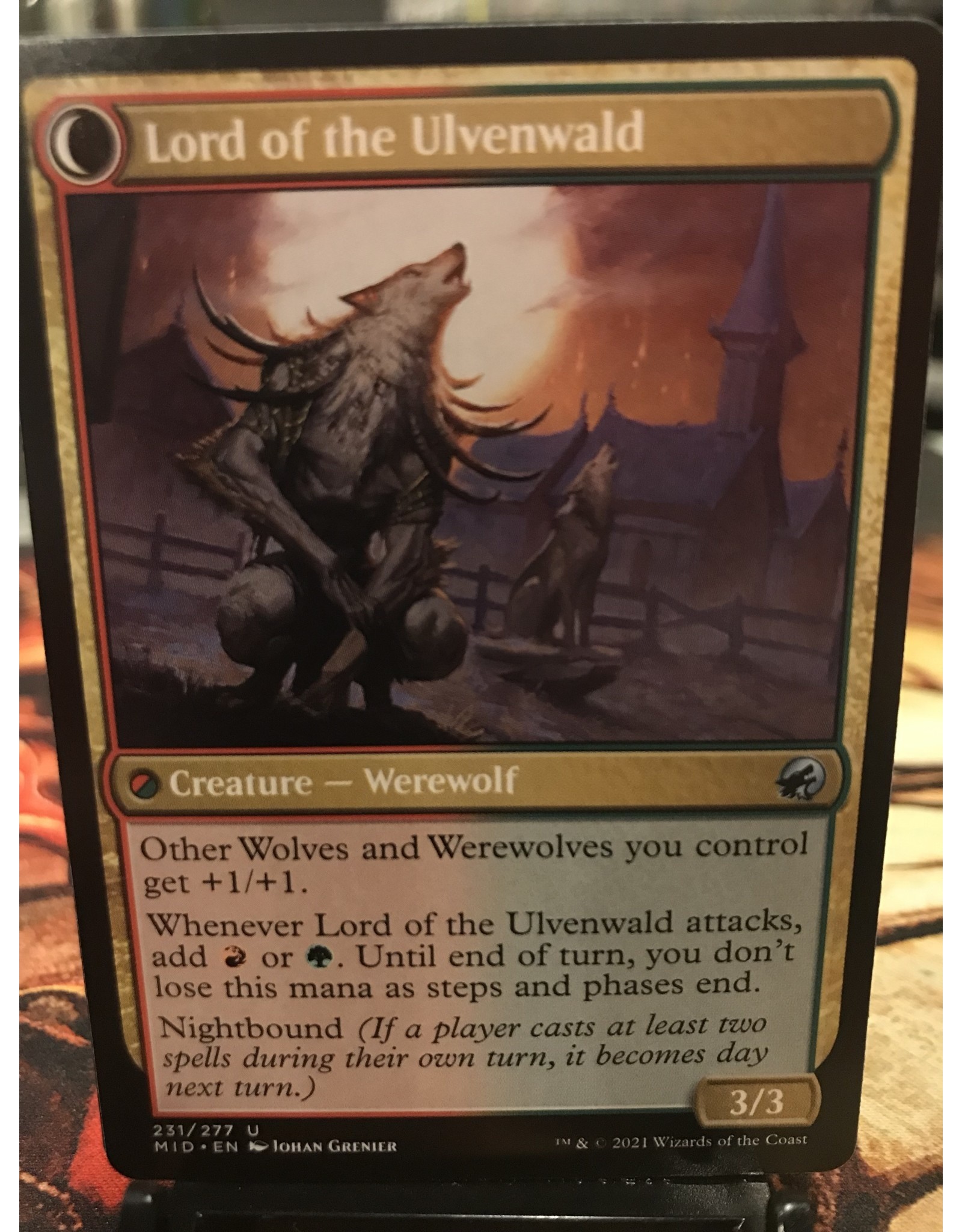 Magic Kessig Naturalist // Lord of the Ulvenwald  (MID)