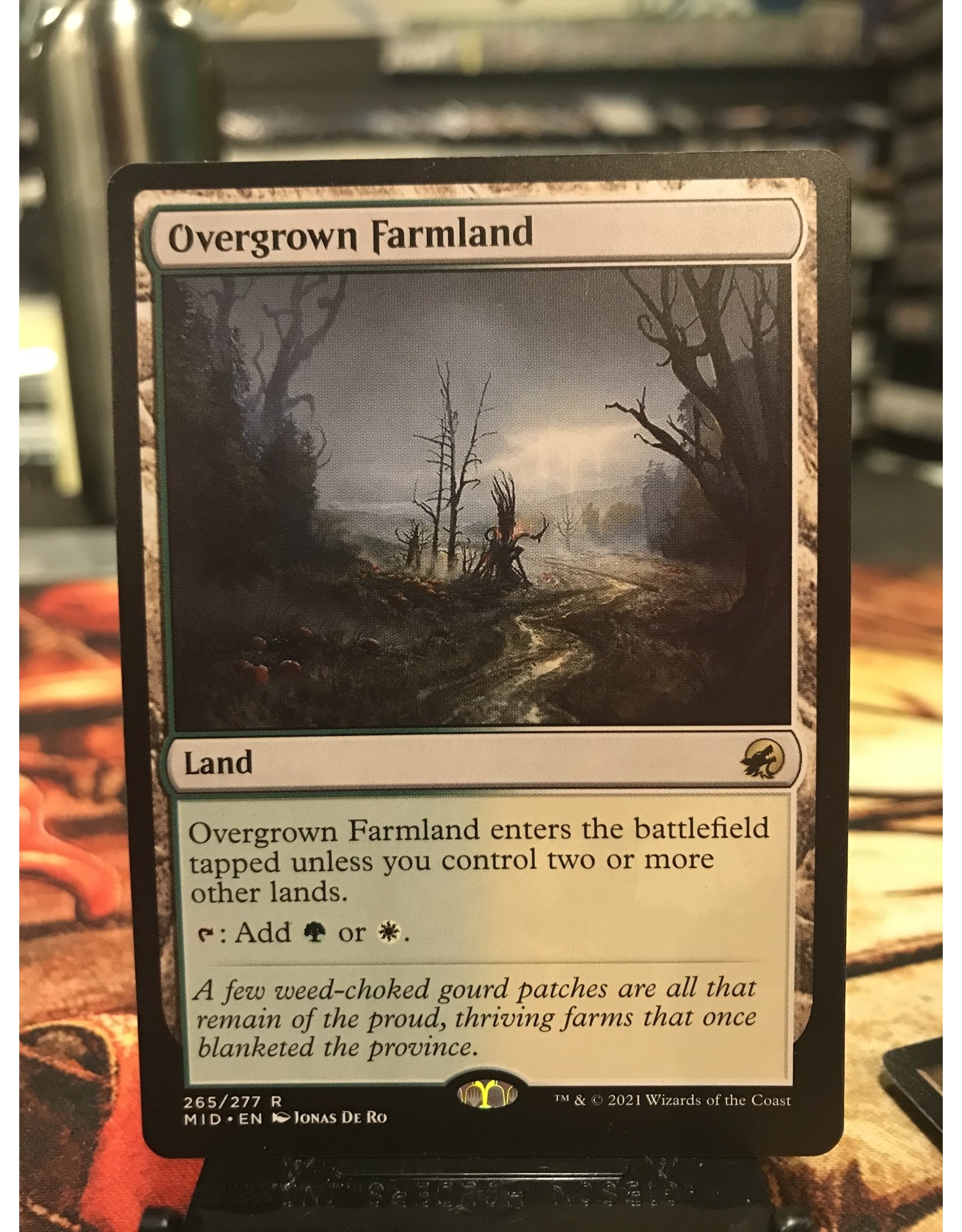 Magic Overgrown Farmland  (MID)