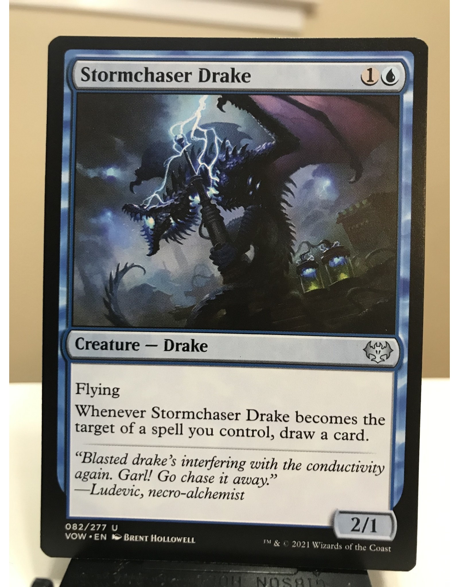 Magic Stormchaser Drake  (VOW)