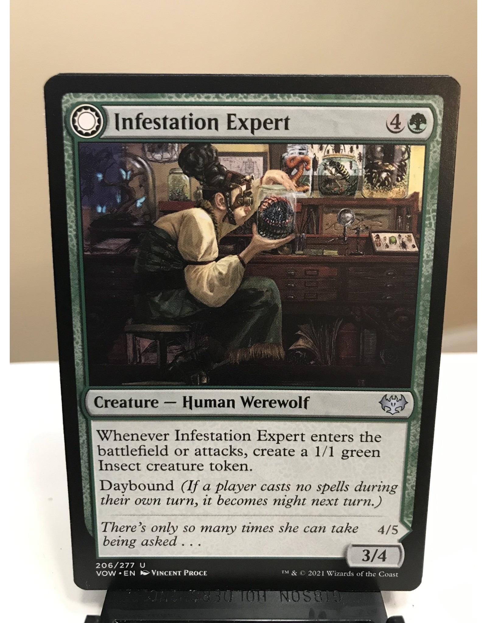 Magic Infestation Expert // Infested Werewolf  (VOW)